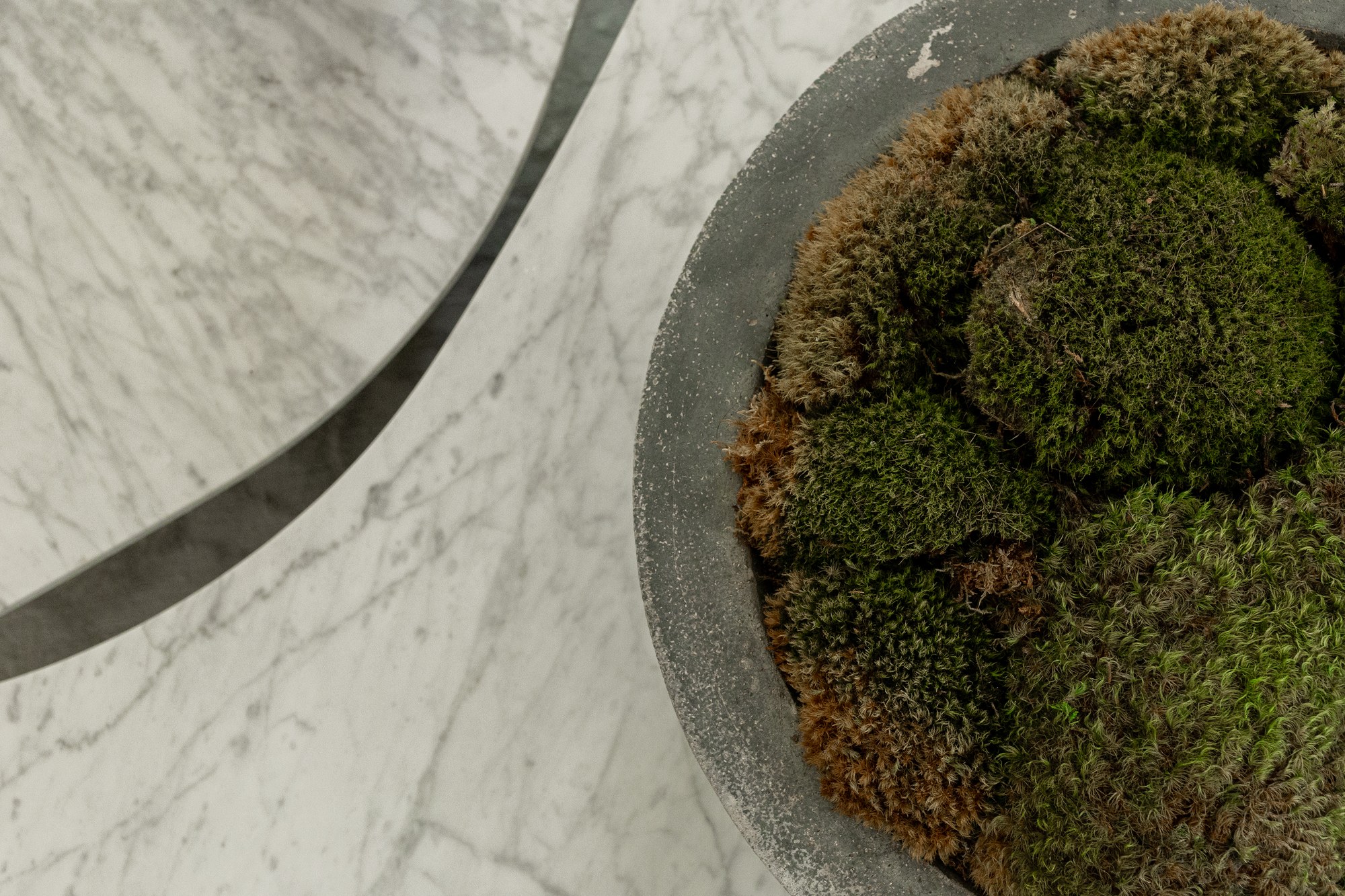 Moss planter, marble tray