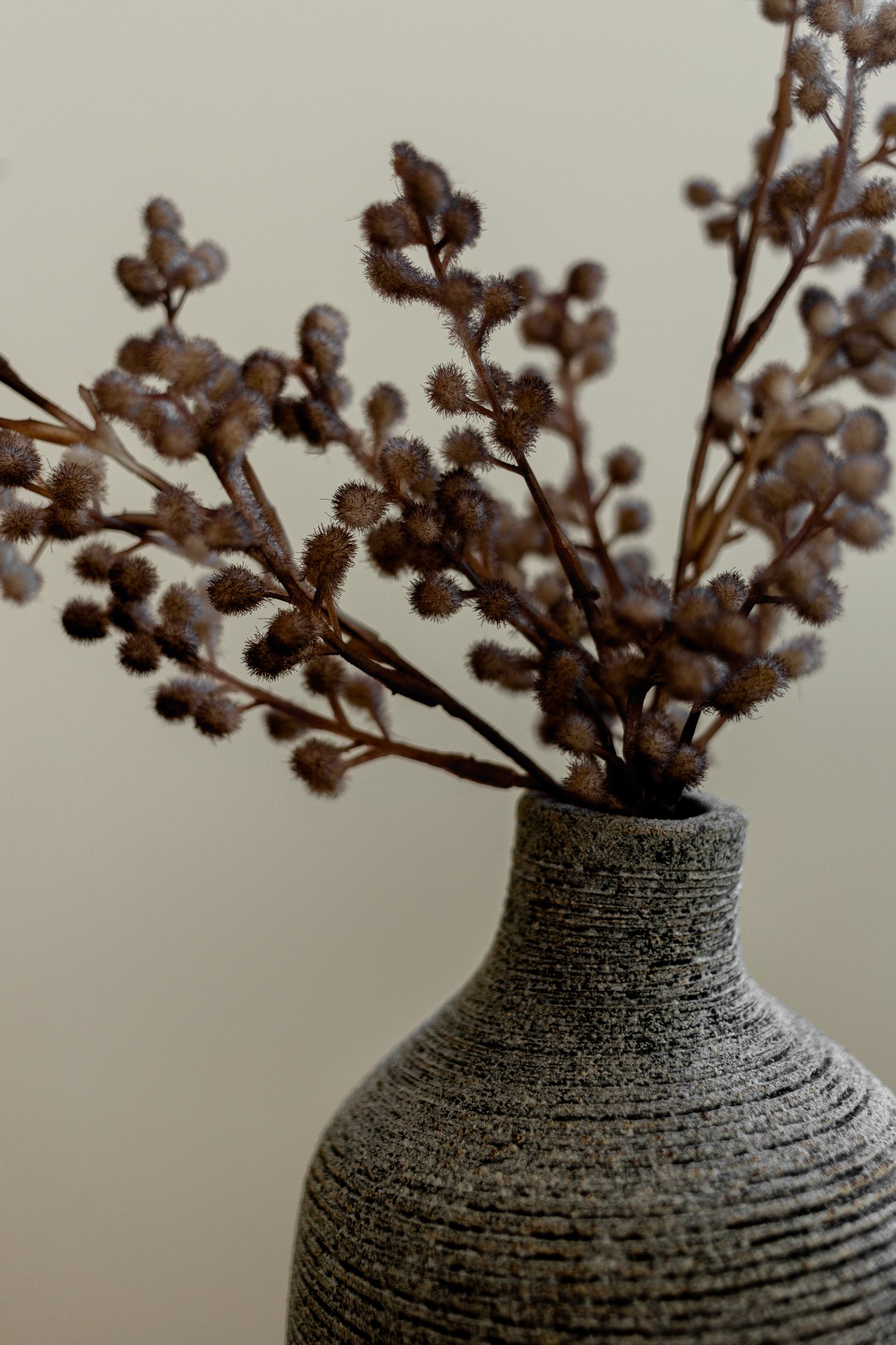 Vase, dried branches